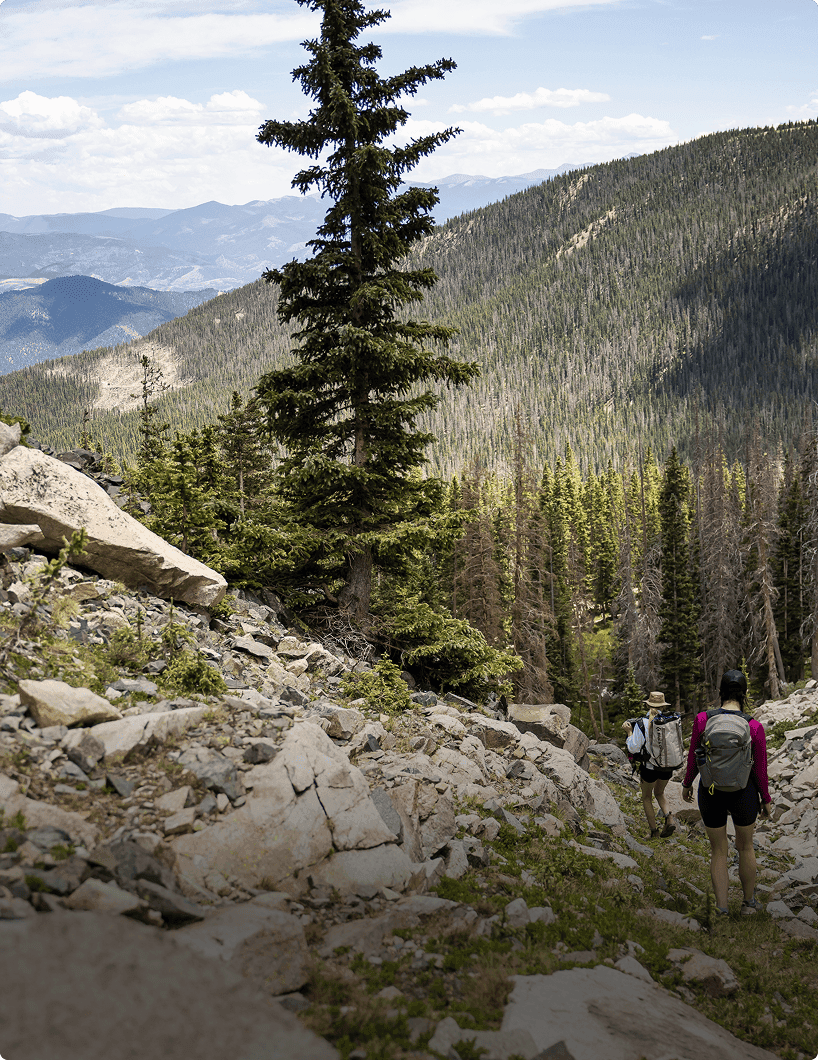 Baldies Ridge Bike Descent